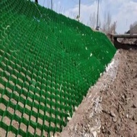 Géocell en HDPE alvéolaire pour allées, murs de soutènement et renforcement de fond de route, grille de gazon, hauteur 50mm-150mm, distance de soudure 500mm