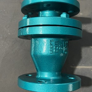 Válvula de Retención Yihong con Revestimiento de PTFE, Tipo Oscilante con Brida de Acero Fundido para Medios Corrosivos, Función de Corte - Product Image 2