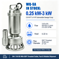 Pompe submersible pour eaux usées en acier inoxydable modèle YL WQ(D)-SA avec sortie filetée, moteur triphasé/monophasé 304/316, garantie 1 an
