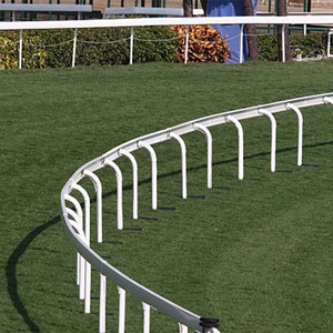 Tùy chỉnh Trắng Vinyl ngựa hàng rào Panels cho racecourses và chăn nuôi trang trại UV kháng và được thiết kế cho an toàn PVC ngựa hàng rào - Product Image 3