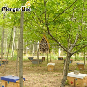 Nueva Colmena de Abejas Menger Bee de Bambú Natural, Mini Colmena para Abejas Mason, Atrae Abejas para Apicultura, 1 Año de Garantía - Product Image 2