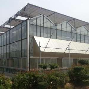 Grande serre en verre à vendre Serre agricole à contrôle climatique Offre Spéciale - Product Image 3