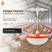 Lampu LED Kandang Unggas Zero Flicker 48V DC 0-100% Peredupan Halus IP67 Tahan Air Konektor Cepat untuk Peternakan Ayam Pedaging