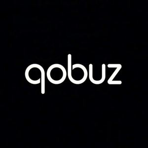 Software Qobuz para Escuchar y Descubrir Música en Línea - Product Image 2