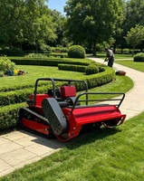 Promotion CE EPA DIY Robot Tondeuse à chenilles télécommandé sans fil, alimenté à l'essence et au diesel, tout-terrain pour jardin et agriculture