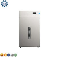 Gedehydrateerde Passievrucht Champignonkoolblad Roterende Infrarood Mini Voedsel Dehydrator Mat Vellen Droger Knoflook Dehydratie Machine