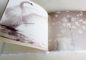 Chuyên nghiệp Độ phân giải cao nghệ thuật giấy danh mục đầu tư dịch vụ in ấn cho các nhiếp ảnh gia bù đắp cứng dập nổi chuyên nghiệp RÀNG BUỘC - Product Image 6