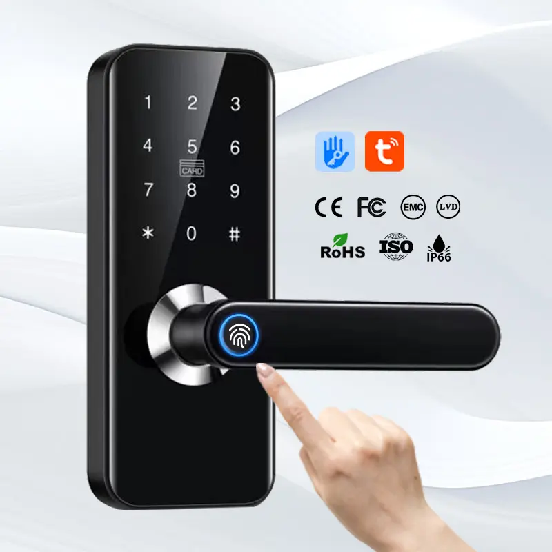 Keyless Security Ttlock Tuya Biometrische Digitale Vingerafdruk Wifi Smart Lock Voor Schuifdeur