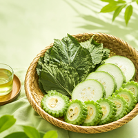 En gros Sachets de tisane aux feuilles de mûrier et au melon amer, Mélange botanique, Fournisseur d'usine OEM ODM Marque privée