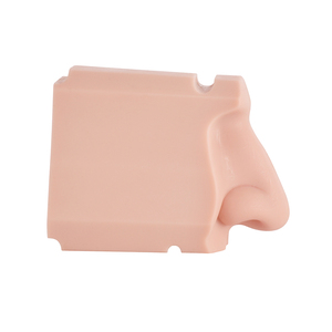 Silicone Anatomical Model for Medical School Training <strong>Nasal</strong> Exam Manikin <strong>Skeleton</strong> Model in Medical Science - Product Image 5