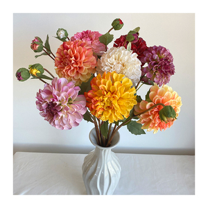 <span class=keywords><strong>Chrysanthème</strong></span> Tianzhu 2 têtes bon marché pour décoration de mariage <span class=keywords><strong>chrysanthème</strong></span> de haute qualité - Product Image 1