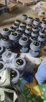 Ensemble d'haltères en acier de qualité supérieure avec surface vernie pour la salle de sport et la maison