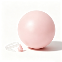 Ballon de Pilates et de Yoga en PVC pour la Maison, Ballon de Stabilité, Équipement de Yoga, Vente en Gros, Fournisseur OEM