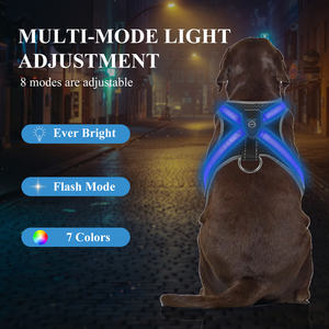 Lampu <span class=keywords><strong>LED</strong></span> berkedip untuk anjing, lampu <span class=keywords><strong>LED</strong></span> modis Sporty keamanan malam nilon bersinar untuk anjing - Product Image 3