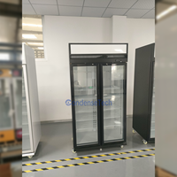 Congélateur commercial à double porte vitrée, refroidissement par air, dégivrage automatique, éclairage LED, 1000L, pour boutique de chocolat