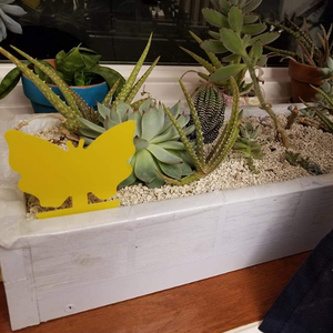 Planta atrapadora de insectos de doble cara, pegamento fuerte no tóxico, trampas para moscas amarillas - Product Image 3