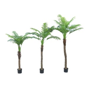 Bonsaï d'arbre de coco artificiel Dream Castle 160cm 180cm 210cm Plante décorative intérieure et extérieure - Product Image 5