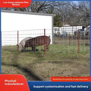 제조업체 맞춤형 돼지 패널 수출 용접 메쉬 시트 핫 디핑 멧돼지 메쉬 2,4,6, 8 인치 메쉬 - Product Image 3