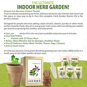 <span class=keywords><strong>Grand</strong></span> piquets <span class=keywords><strong>de</strong></span> support <span class=keywords><strong>de</strong></span> jardin biodégradables ensemble d'herbes originales Design basilic pépinière intérieure usage domestique <span class=keywords><strong>Pot</strong></span> <span class=keywords><strong>de</strong></span> plante extérieur - Product Image 4