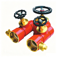 Hydrant d'incendie à double sortie / Double entrée en alliage de cuivre de 80 mm et 100 mm avec valve anti-retour intégrée et drain