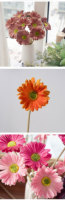 Fleur artificielle de chrysanthème et de gerbera en PU de haute qualité, toucher réel, pour la décoration de la maison, les mariages et les centres de table