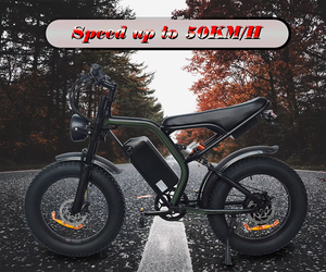 Bicicleta Eléctrica de Montaña para Adultos, 48V 1000w, Batería de Iones de Litio de Alto Rendimiento, 60km de Autonomía - Product Image 2