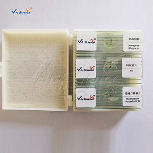 ชุดสไลด์สำเร็จรูปสำหรับจุลชีววิทยาและสาหร่าย สำหรับใช้กับกล้องจุลทรรศน์ - Product Image 3