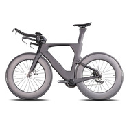 Bicicleta de Contrarreloj para Triatlón TT con Freno de Disco Totalmente de Carbono Toray T700
