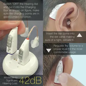 Grosir amplifikasi suara dengan loudspeaker digital untuk alat bantu dengar kehilangan pendengaran