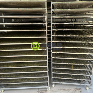 Séchoir à légumes de haute qualité, séchoir à haricots longs, séchoir à pois de vache - Product Image 5