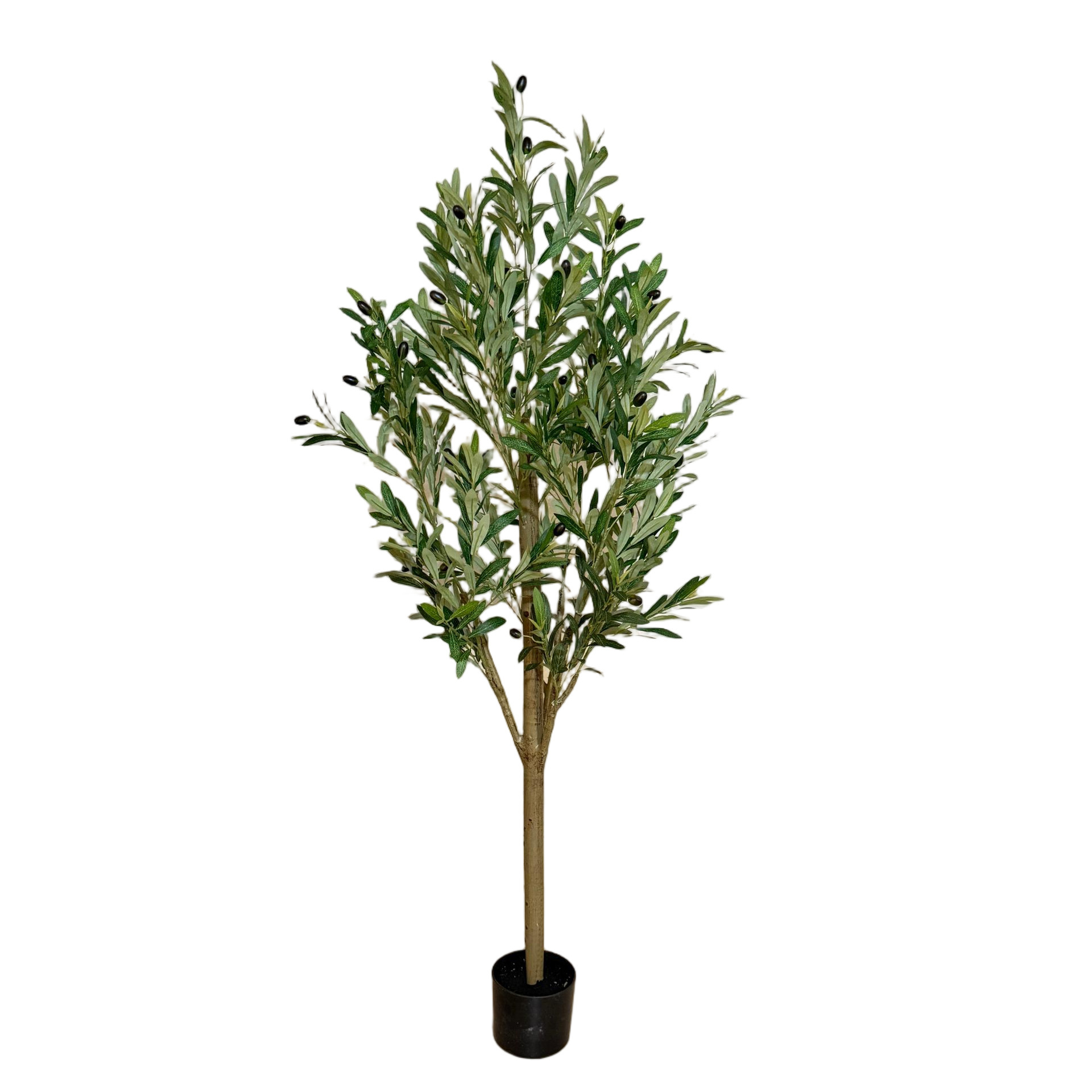Modelo E de 160 cm.