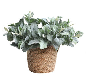 Foglie Artificiali in Plastica a Forma <span class=keywords><strong>di</strong></span> Orecchie <span class=keywords><strong>di</strong></span> Coniglio, Decorazione <span class=keywords><strong>per</strong></span> Vasi da Tavolo <span class=keywords><strong>per</strong></span> Ringraziamento, Natale, Capodanno, <span class=keywords><strong>Halloween</strong></span> - Product Image 6