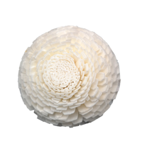 Diffuseur de roseaux en bois solaire, 4.5CM, désodorisant pour voiture, bâton à fleurs