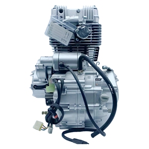 Motor de Motocicleta OEM de Fábrica Personalizado Zongshen Nuevo Plateado 200cc Refrigerado por Aire 4 Tiempos Encendido CDI con 1 Año de Garantía para Triciclos - Product Image 5