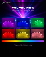 Lumières LED Pixel RGBW en plastique IP65 de 60 mm à 6 LED pour l'éclairage de Noël, des manèges et des carnavals