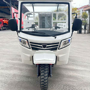 Triciclo de Carga Económico de 3 Ruedas, 165 cc, Refrigerado por Aire, Eficiente en Combustible, Triciclo Pequeño para Entrega de Carga - Product Image 2