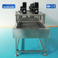 Ligne de pasteurisation automatique à bain-marie avec équipement de séchage segmenté pour boissons, jus de fruits et légumes, sauces