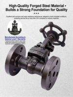 Válvula de Compuerta con Brida de Acero Forjado A105 con Sello Rígido DN15-DN80 PN16/PN25, Válvula de Cierre Manual, Accionamiento Eléctrico y Neumático Personalizado