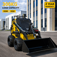 Mini-chargeuse compacte certifiée EPA, personnalisable, avec moteur B&S pour travaux agricoles, garantie de 2 ans