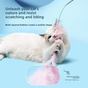Varita de Juguete para Gatos con Plumas de Hada, Duradera, Resistente a Mordeduras, con Campana, Diseño de Alambre Corto, Modelo Pmg, Origen Henan - Product Image 3