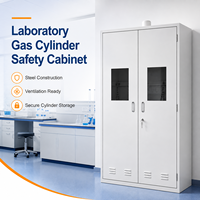 Armoire de sécurité pour bouteilles de gaz de laboratoire, casier de stockage en acier avec fenêtre d'observation ventilée pour laboratoire de recherche
