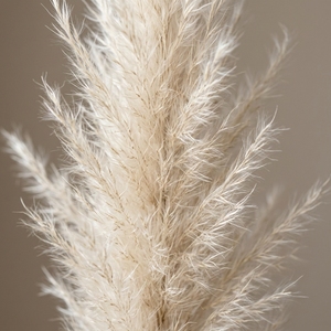 Herbe <span class=keywords><strong>de</strong></span> la Pampa Artificielle <span class=keywords><strong>en</strong></span> Gros, Fausses Herbes <span class=keywords><strong>de</strong></span> la Pampa pour Décoration <span class=keywords><strong>de</strong></span> Mariage, Décoration Bohème pour la Maison, Grandes Herbes Hautes <span class=keywords><strong>en</strong></span> Vrac pour Remplissage <span class=keywords><strong>de</strong></span> Vases - Product Image 3