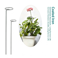 Supports de plantes en métal réutilisables, résistants à la corrosion, pour plantes en pot, intérieur/extérieur