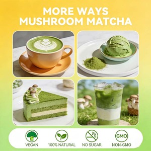 Matcha aux champignons Marque Blanche OEM avec Crinière de Lion et Ashwagandha pour la Santé Cérébrale, Intestinale, Immunitaire, du Stress et de la Mémoire - Product Image 6
