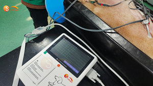 ECG Hewan Peliharaan Portabel 3 Kanal dengan Printer Terintegrasi, Layar Sentuh 7 Inci, 12-Lead untuk Penggunaan Medis - Product Image 5