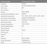 SSD industriel M.2 2242 basse consommation, résistant aux vibrations, prise en charge TRIM SMART pour enregistreur de données de terrain industriel portable
