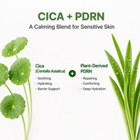 Sérum Moussant à la Centella BEIKE Marque Privée avec Acide Hyaluronique, Traitement Facial Apaisant, Hydratant et Léger en Micro-Mousse
