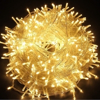 Guirlande Lumineuse LED Étanche pour l'Extérieur, Décoration de Fête de Noël, Mariage, Vacances, 10m, 20m, 30m, 50m, 100m