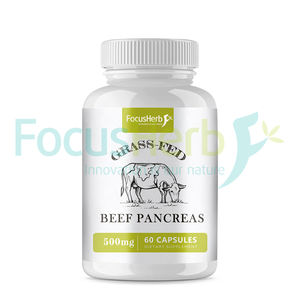 FocusHerb Livraison rapide 100% Vache nourrie à l'herbe OX Bovine 500MG Capsules de pancréas de boeuf - Product Image 1