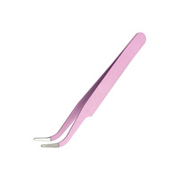 Fournisseur de gâteaux Outils de boulangerie Pince à épiler en acier inoxydable DIY Boulangerie Pince courbe et droite
